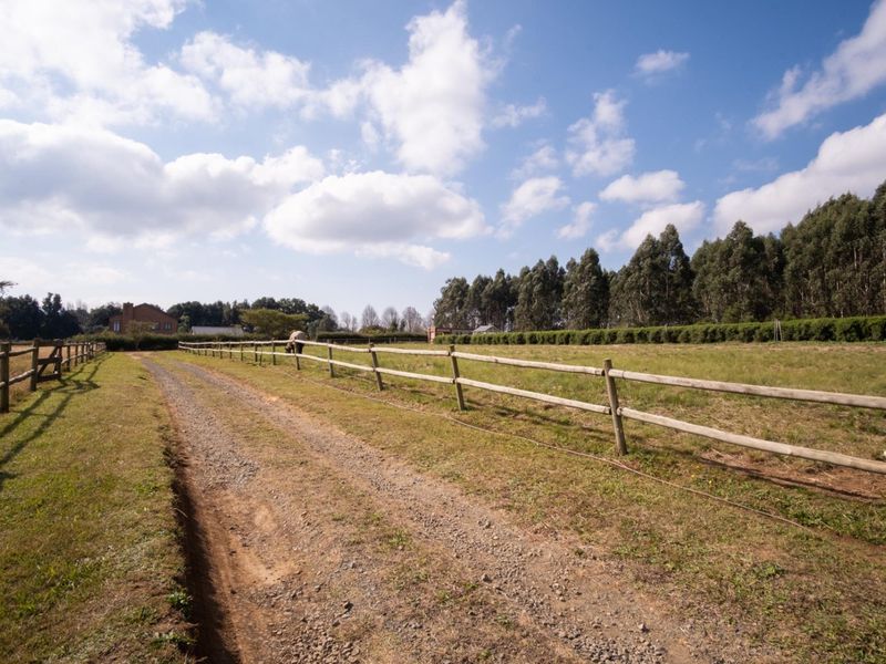 Hectare Vacant Land in Exclusive Castle View Estate - Photo 2
