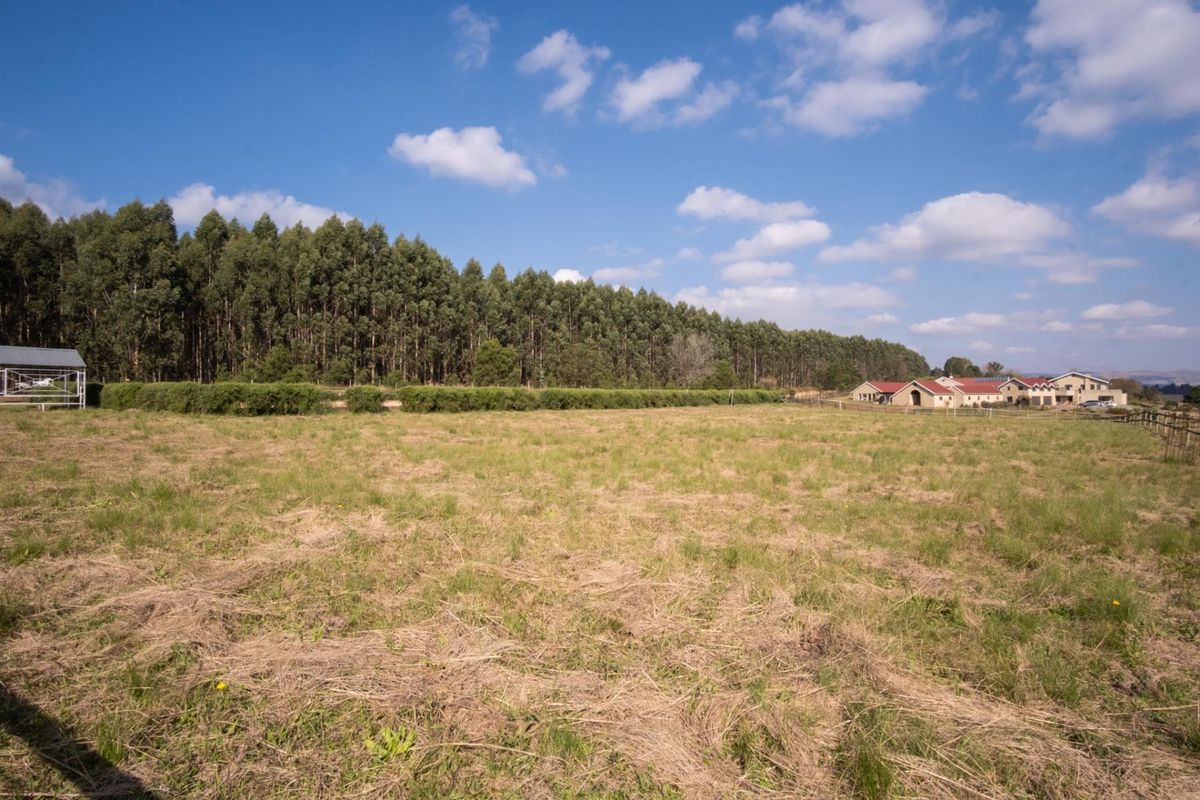 Hectare Vacant Land in Exclusive Castle View Estate - Photo 5