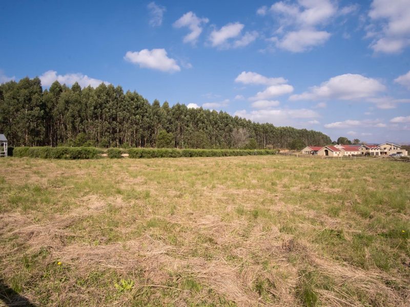 Hectare Vacant Land in Exclusive Castle View Estate - Photo 5