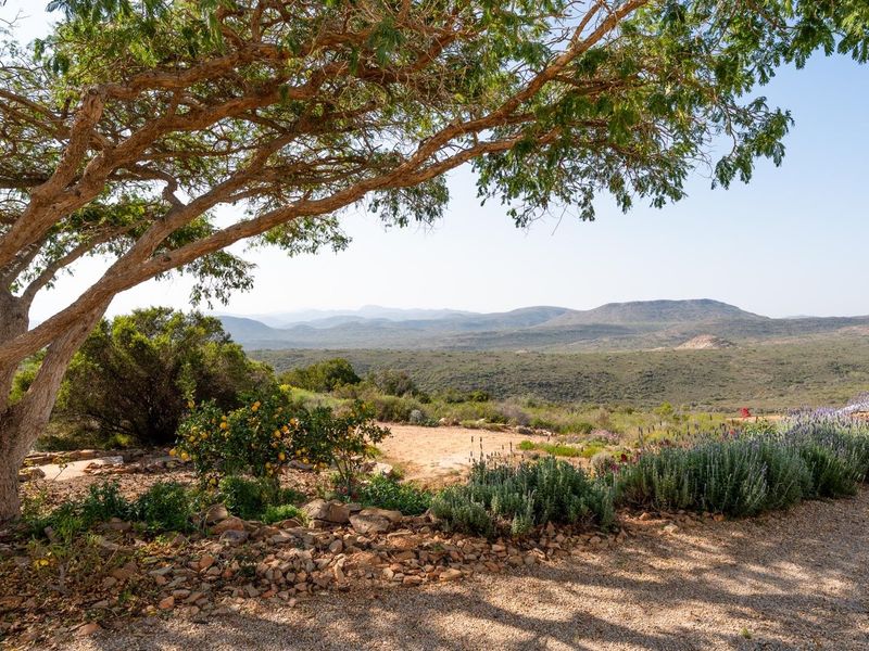 Private Airstrip, Georgian Elegance and 143 Hectares of Pure McGregor Magic - Photo 6