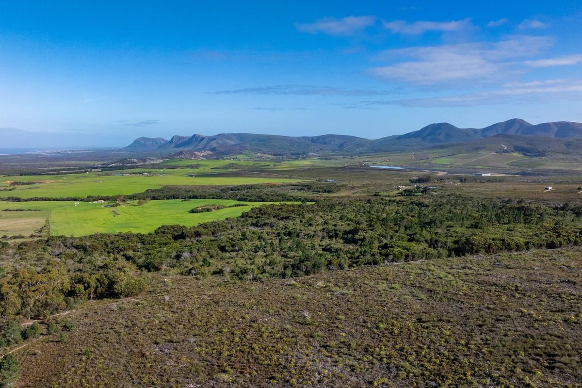 Where Conservation Meets Opportunity - Exceptional Eco-Estate Potential. - Photo 2