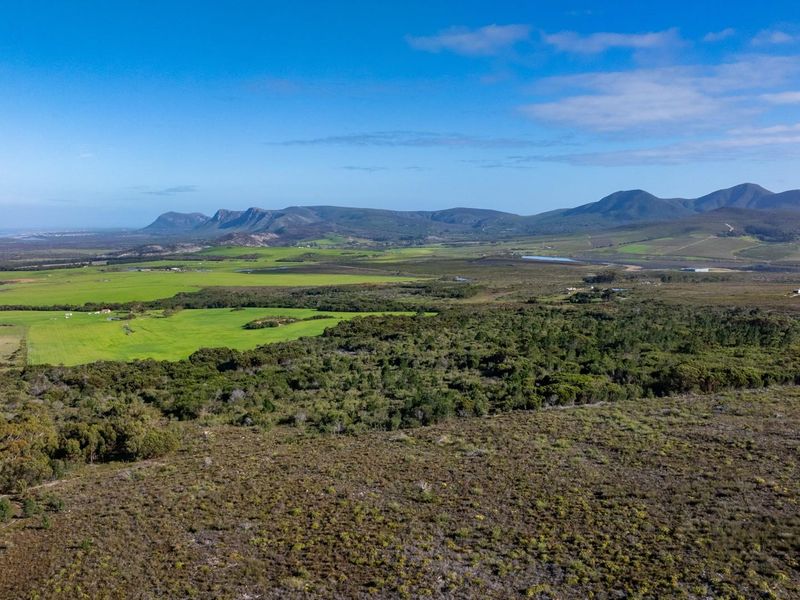 Where Conservation Meets Opportunity - Exceptional Eco-Estate Potential. - Photo 2