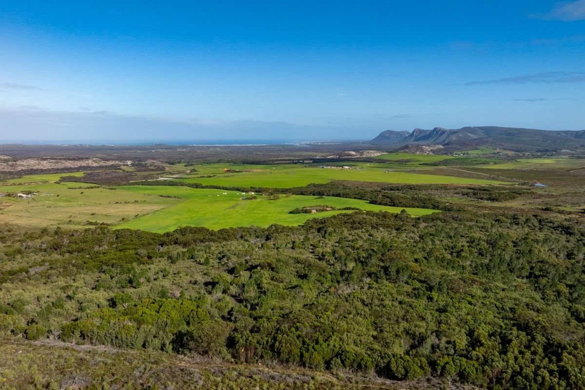 Where Conservation Meets Opportunity - Exceptional Eco-Estate Potential. - Photo 4