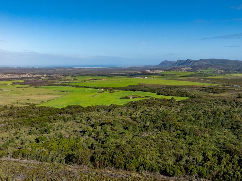 Where Conservation Meets Opportunity - Exceptional Eco-Estate Potential. - Photo 4