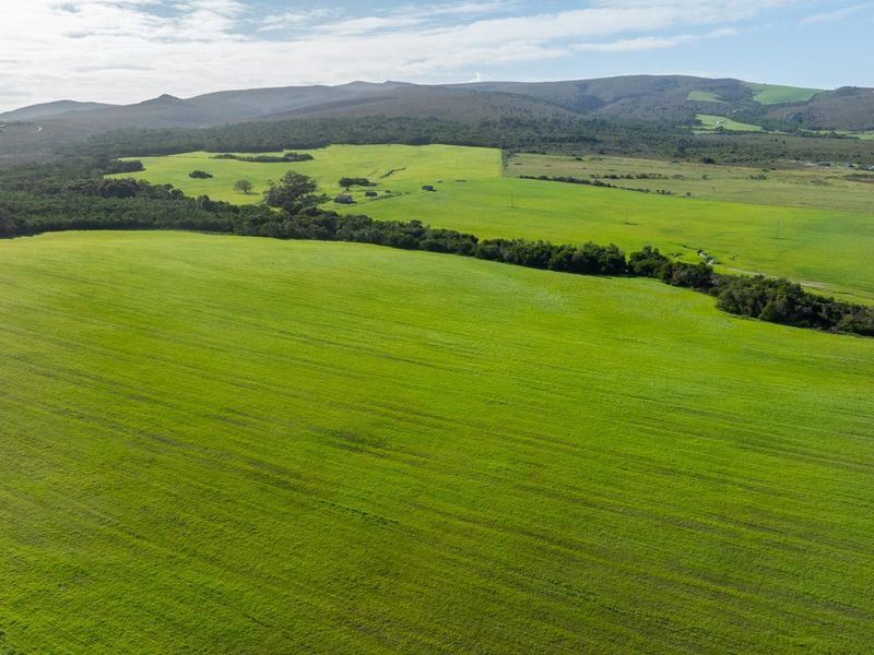 Where Conservation Meets Opportunity - Exceptional Eco-Estate Potential. - Photo 10