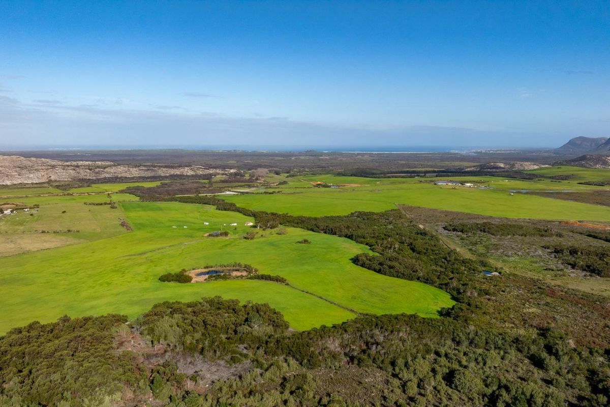 Where Conservation Meets Opportunity - Exceptional Eco-Estate Potential. - Photo 5