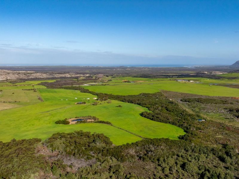 Where Conservation Meets Opportunity - Exceptional Eco-Estate Potential. - Photo 5