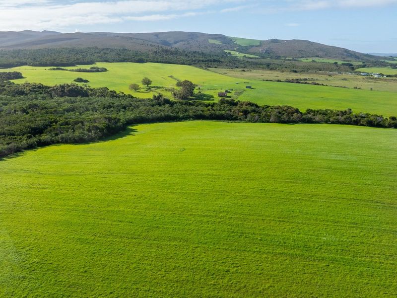Where Conservation Meets Opportunity - Exceptional Eco-Estate Potential. - Photo 9