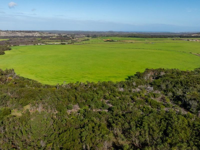 Where Conservation Meets Opportunity - Exceptional Eco-Estate Potential. - Photo 8
