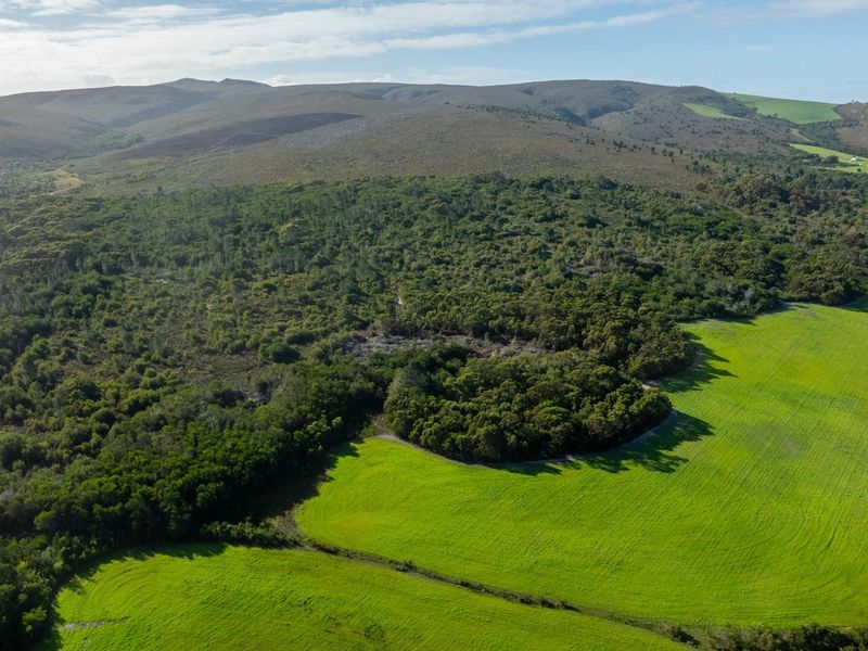 Where Conservation Meets Opportunity - Exceptional Eco-Estate Potential. - Photo 6