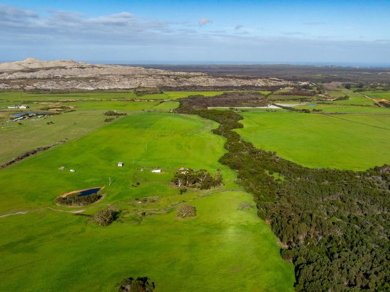 Where Conservation Meets Opportunity - Exceptional Eco-Estate Potential. - Photo 7