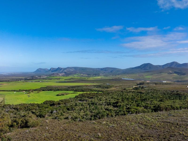 Where Conservation Meets Opportunity - Exceptional Eco-Estate Potential. - Photo 1