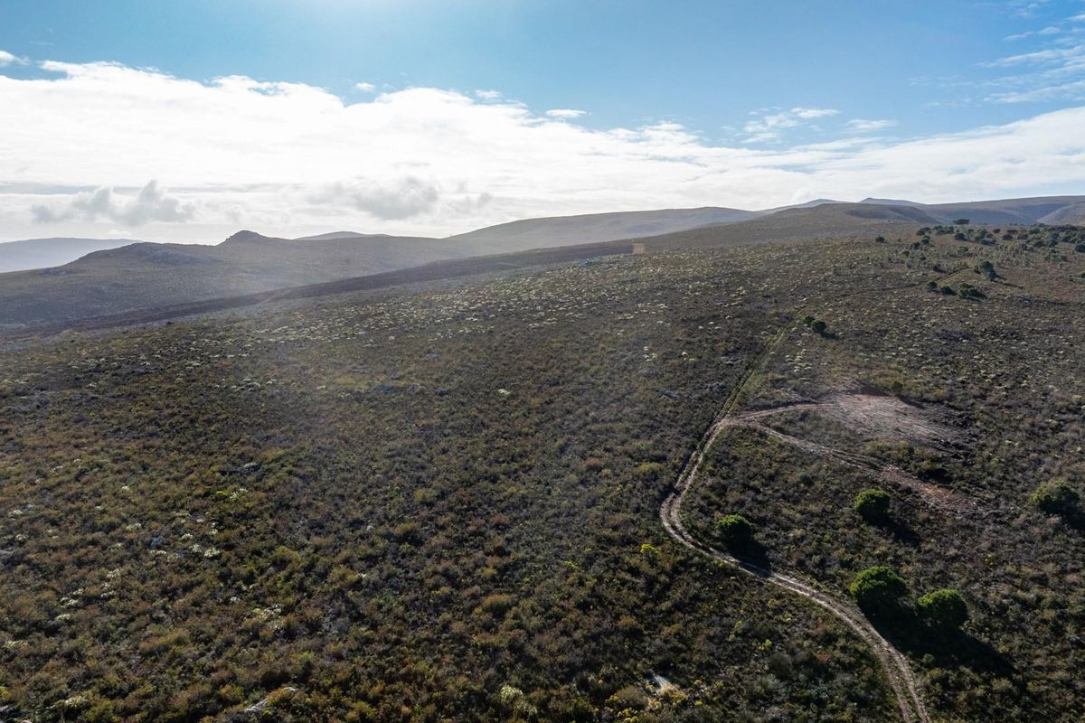 Where Conservation Meets Opportunity - Exceptional Eco-Estate Potential. - Photo 3