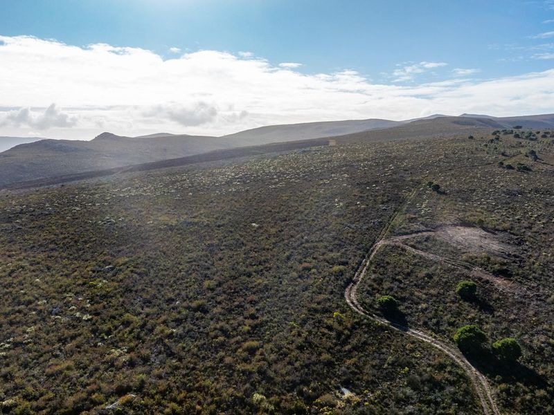 Where Conservation Meets Opportunity - Exceptional Eco-Estate Potential. - Photo 3