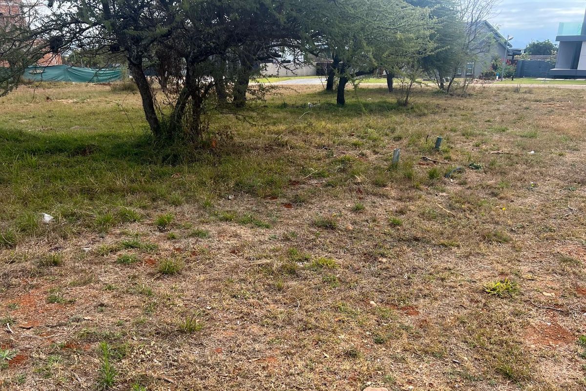 Exclusive 1,275 sqm Vacant Stand for Sale in The Ridge @ The Aloes Lifestyle Estate - Photo 3