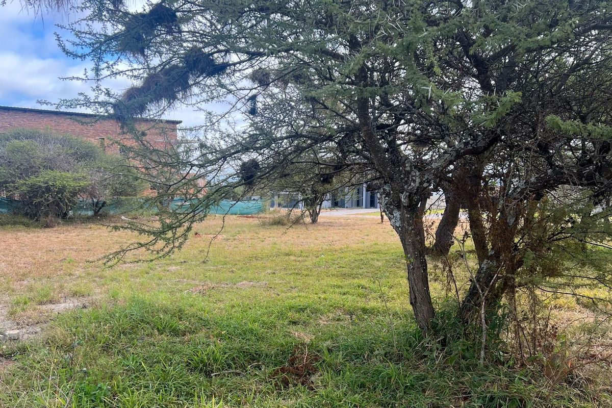 Exclusive 1,275 sqm Vacant Stand for Sale in The Ridge @ The Aloes Lifestyle Estate - Photo 4