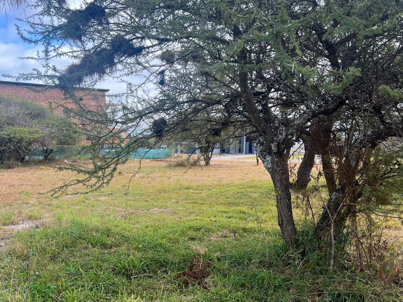 Exclusive 1,275 sqm Vacant Stand for Sale in The Ridge @ The Aloes Lifestyle Estate - Photo 4