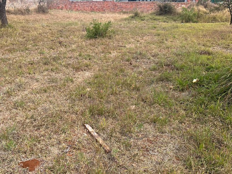 Exclusive 1,275 sqm Vacant Stand for Sale in The Ridge @ The Aloes Lifestyle Estate - Photo 5