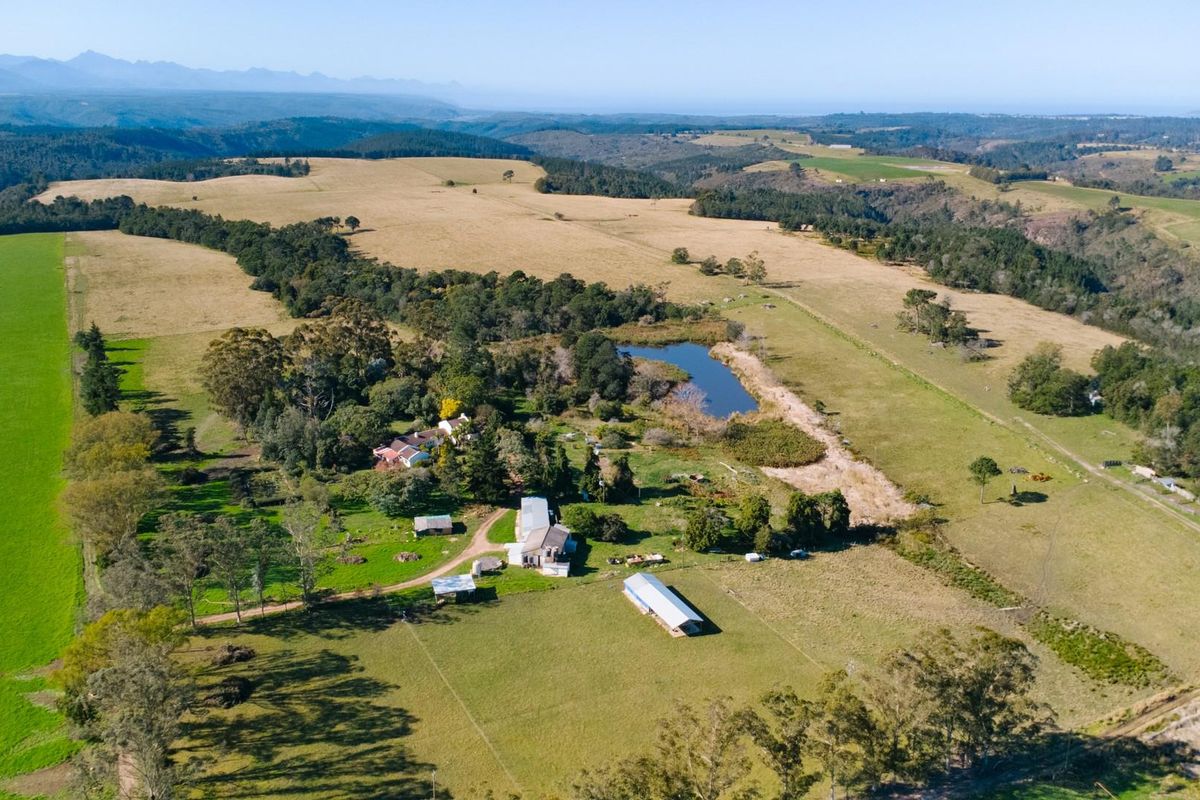 149 Ha Farm situated between Plettenberg Bay and Knysna - Photo 2
