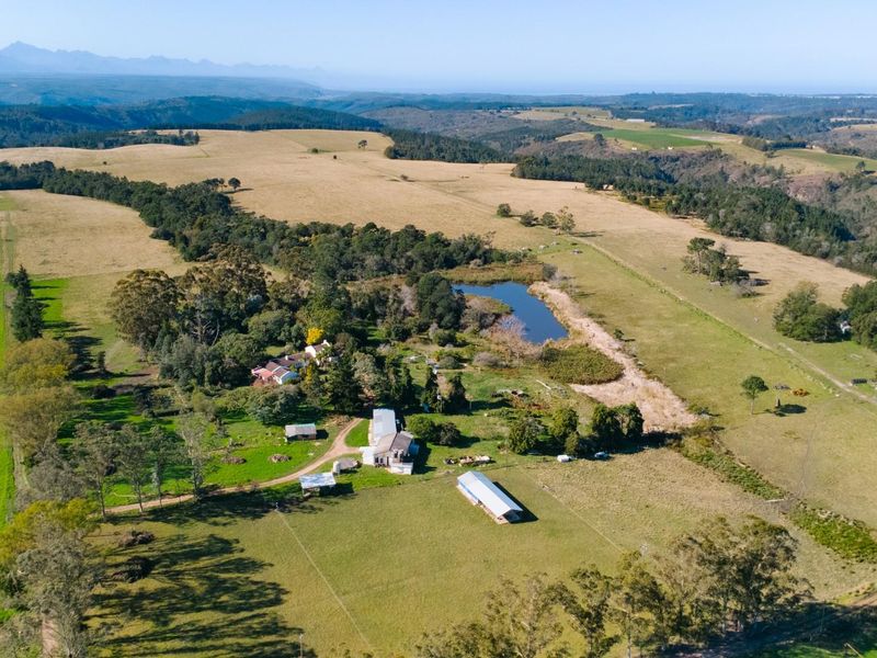 149 Ha Farm situated between Plettenberg Bay and Knysna - Photo 2
