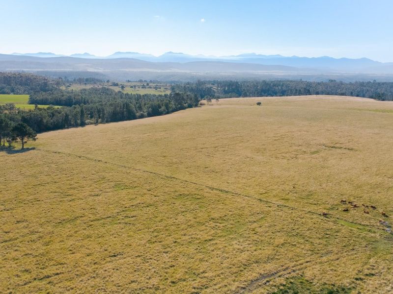 149 Ha Farm situated between Plettenberg Bay and Knysna - Photo 4