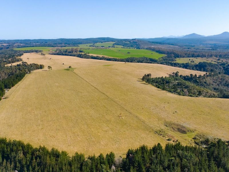 149 Ha Farm situated between Plettenberg Bay and Knysna - Photo 9