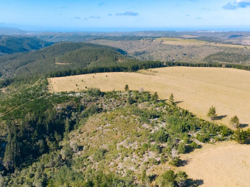 149 Ha Farm situated between Plettenberg Bay and Knysna - Photo 7