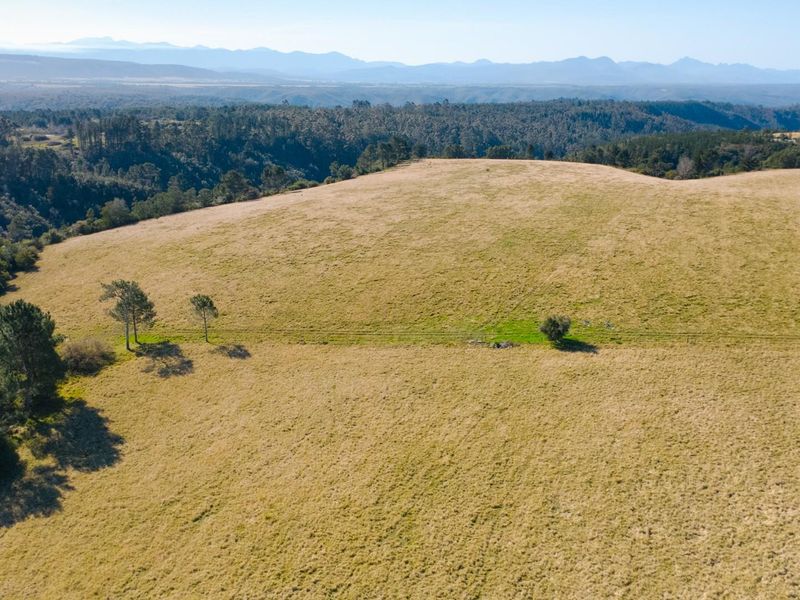 149 Ha Farm situated between Plettenberg Bay and Knysna - Photo 6
