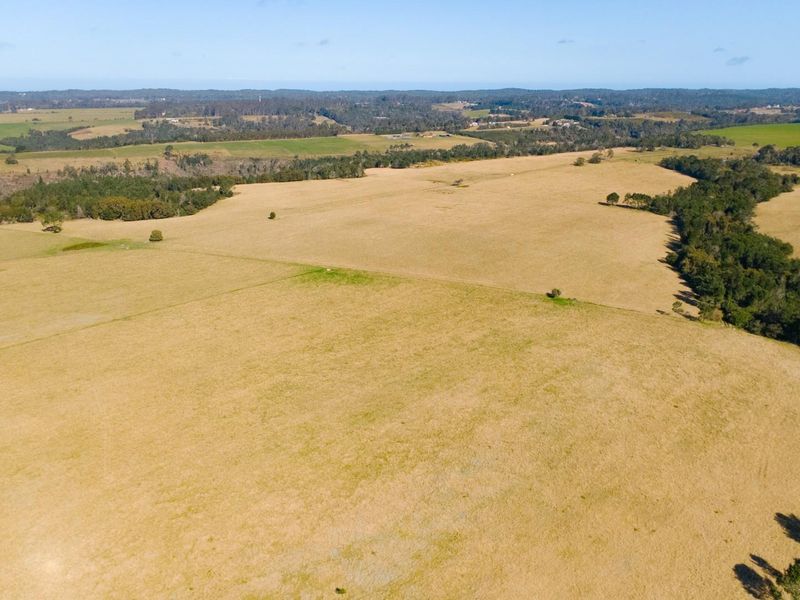 149 Ha Farm situated between Plettenberg Bay and Knysna - Photo 8