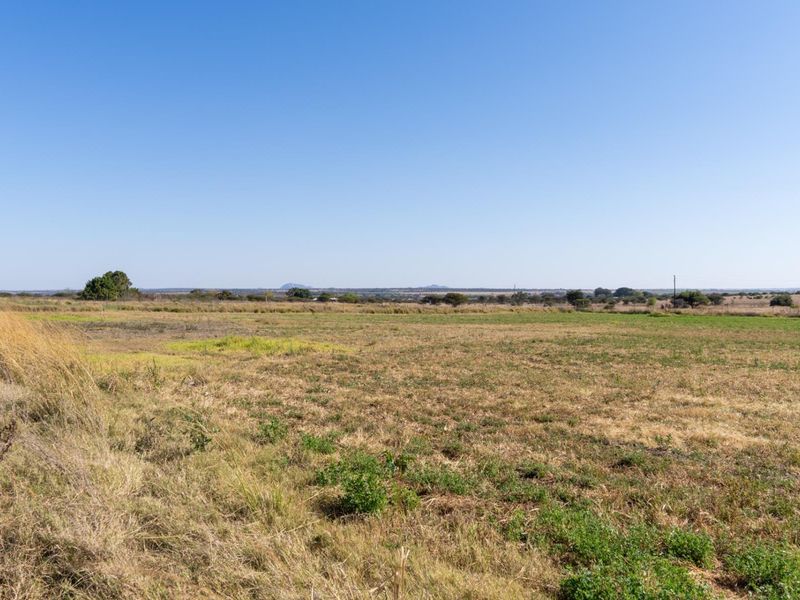 Investment smallholding with multiple income streams - Photo 1