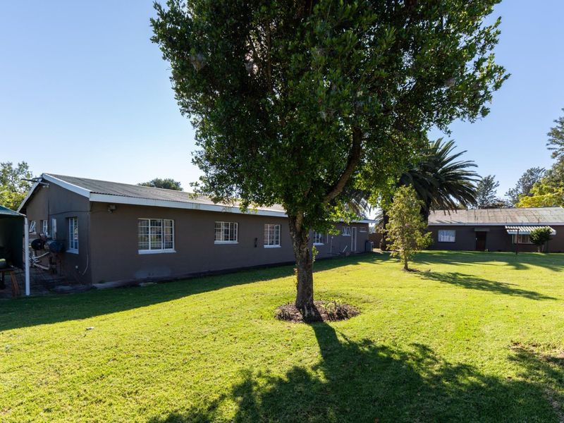 Investment smallholding with multiple income streams - Photo 8