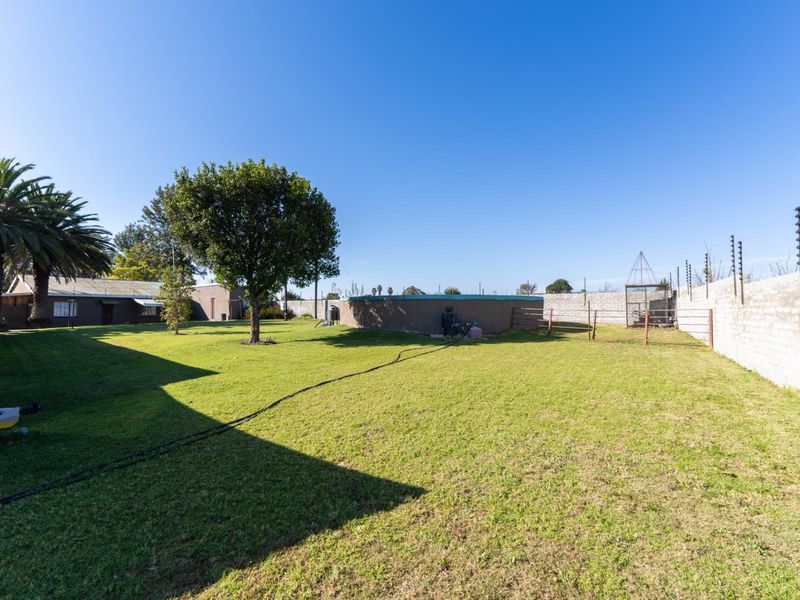 Investment smallholding with multiple income streams - Photo 7