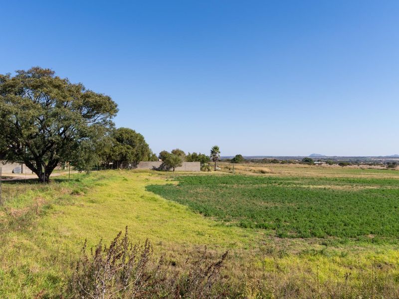 Investment smallholding with multiple income streams - Photo 4