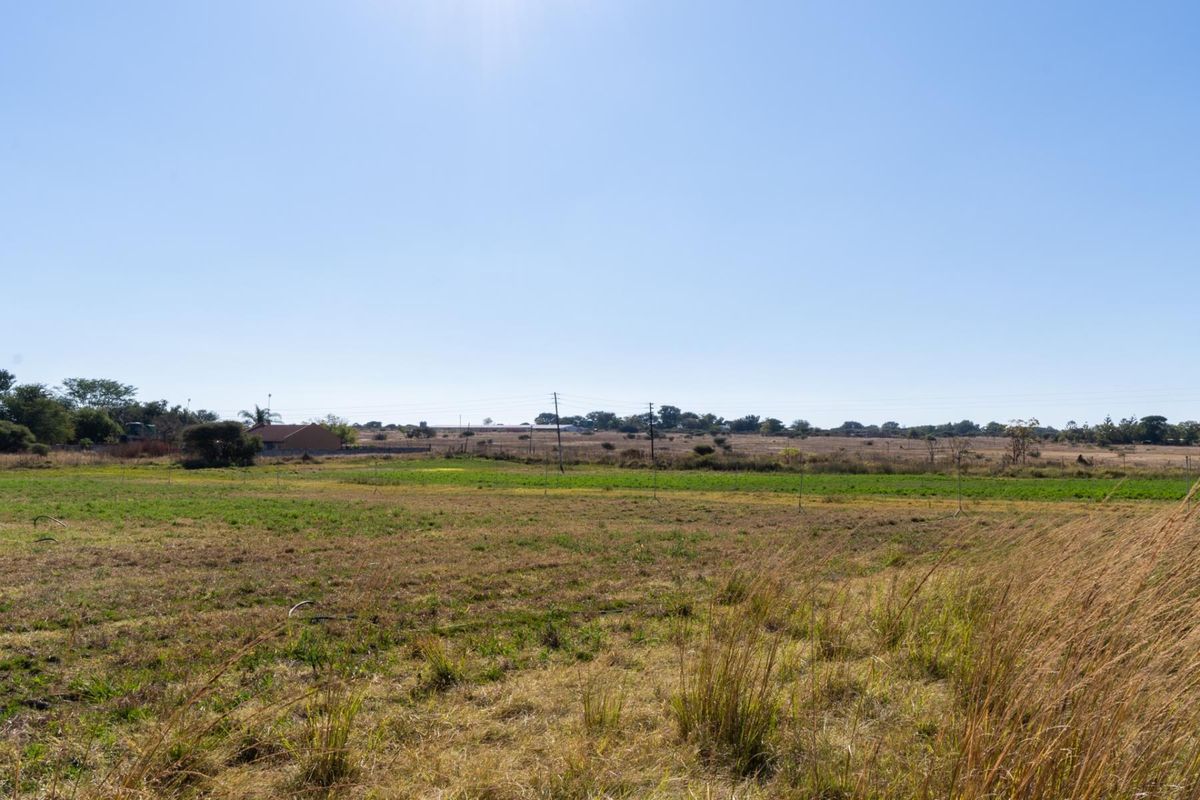 A wide-angle view of an expansive, undeveloped residential plot featuring natural grassland and distant horizon views.