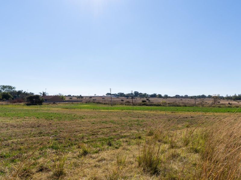 Investment smallholding with multiple income streams - Photo 2