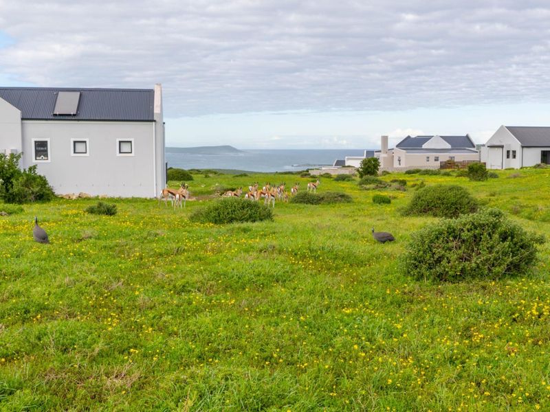 Vacant Plot for sale in Hoogland Estate, Saldanha Bay - Photo 6