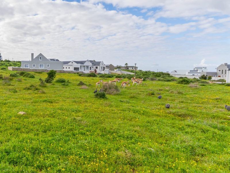Vacant Plot in Hoogland Estate, Saldanha Bay - Photo 6
