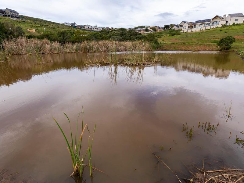 A scenic view of a natural pond and wetland area situated within a residential estate landscape.