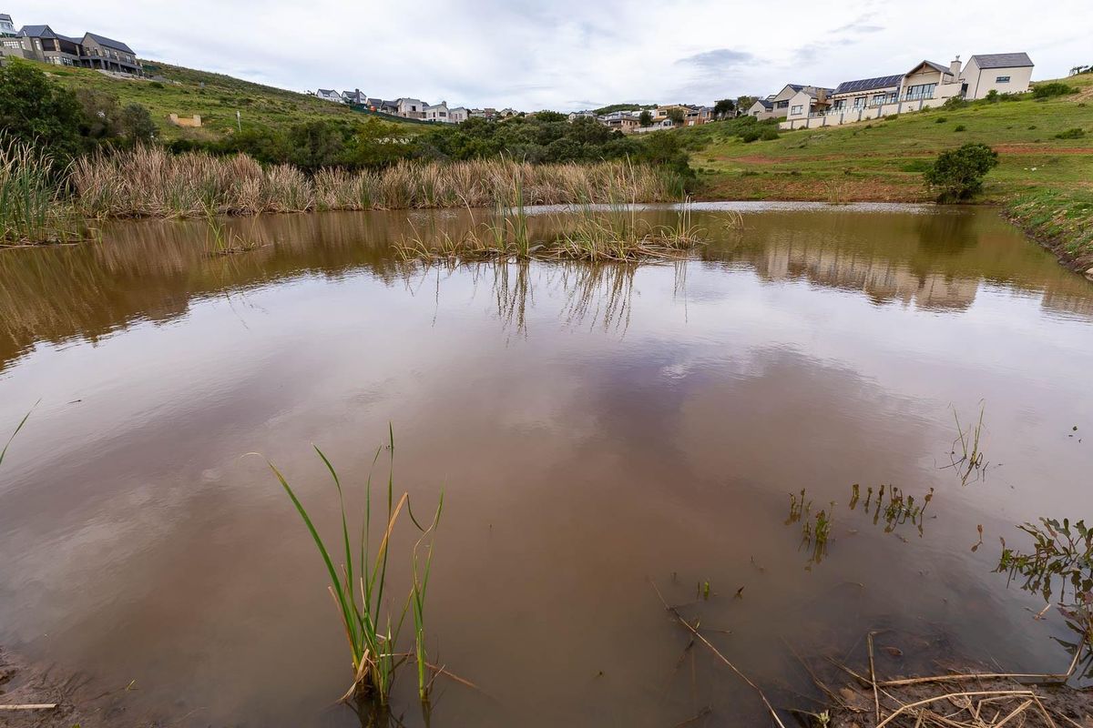 A scenic view of a natural pond and wetland area situated within a residential estate landscape.