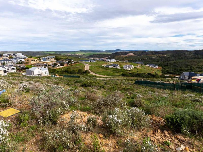 Exclusive Sole Mandate | Prime Vacant Stand with Spectacular Views in Outeniquasbosch Wildlife Villa - Photo 4