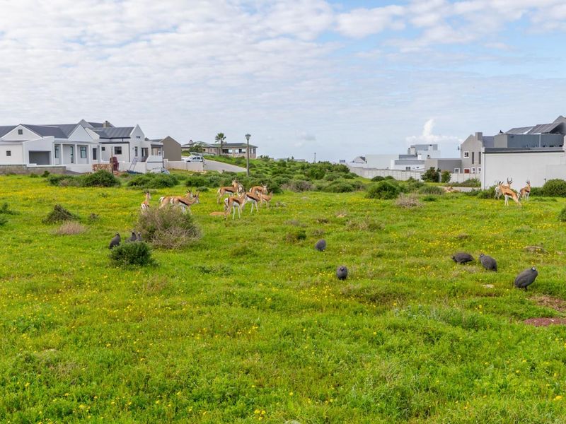 667m2 Vacant Plot in Prestigious Hoogland Estate, Saldanha Bay - Photo 6