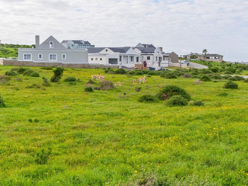 651m2 Vacant Stand for sale in Hoogland Estate, Saldanha Bay - Photo 6