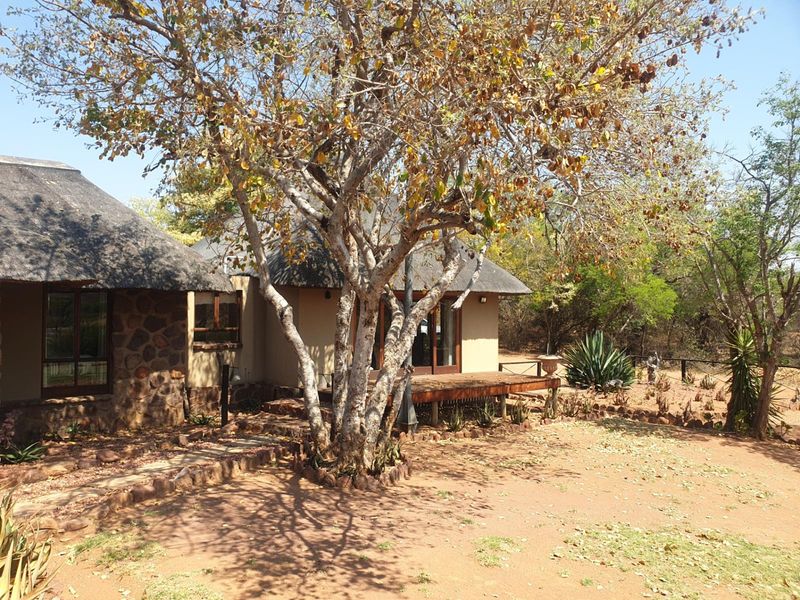 Breathtaking 2,000 ha Game Farm with Luxury Lodge, Abundant Wildlife and Spectacular Mountain Views - Photo 6