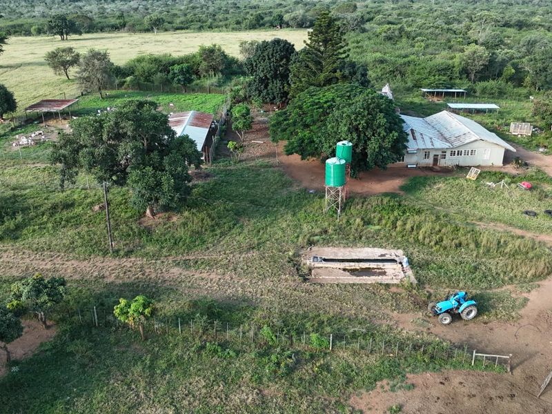 Exceptional 1,244 ha Multi-Purpose Farm | Water-Rich | Fertile Soils | 75 km from Polokwane - Photo 1