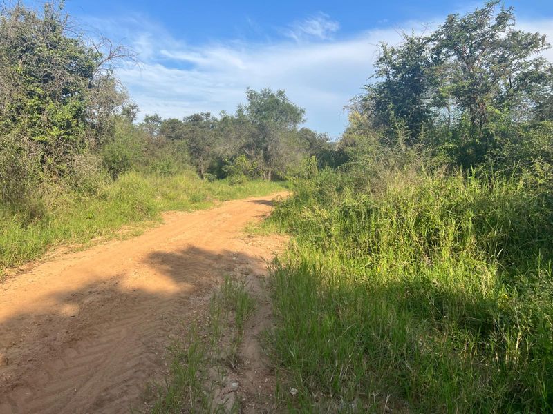 Exceptional 1,244 ha Multi-Purpose Farm | Water-Rich | Fertile Soils | 75 km from Polokwane - Photo 5