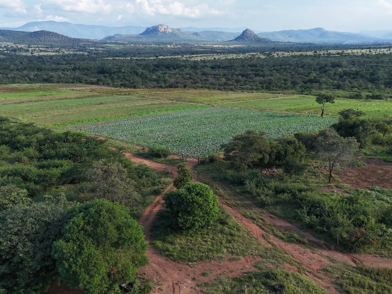 Exceptional 1,244 ha Multi-Purpose Farm | Water-Rich | Fertile Soils | 75 km from Polokwane - Photo 3