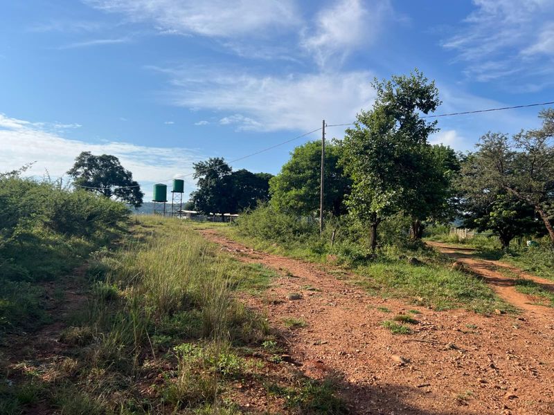 Exceptional 1,244 ha Multi-Purpose Farm | Water-Rich | Fertile Soils | 75 km from Polokwane - Photo 10
