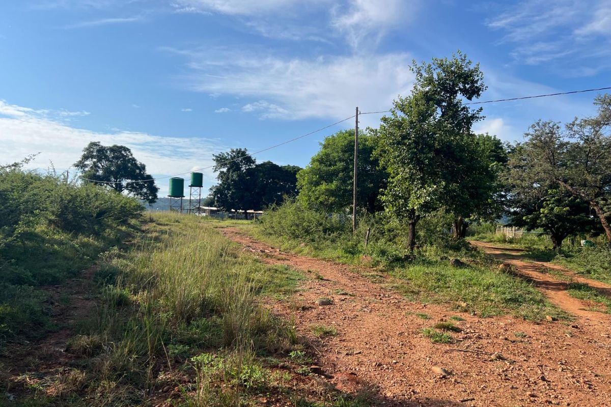 A rural farm landscape featuring a dirt access road, mature trees, and elevated water storage tanks on the property.