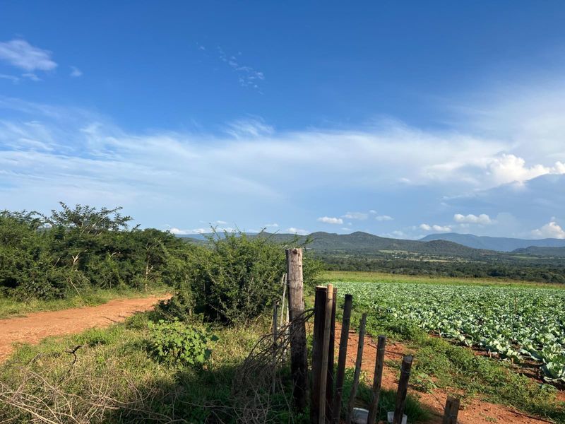 Exceptional 1,244 ha Multi-Purpose Farm | Water-Rich | Fertile Soils | 75 km from Polokwane - Photo 9