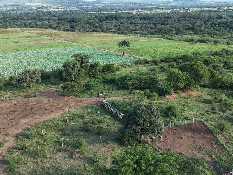 Exceptional 1,244 ha Multi-Purpose Farm | Water-Rich | Fertile Soils | 75 km from Polokwane - Photo 2